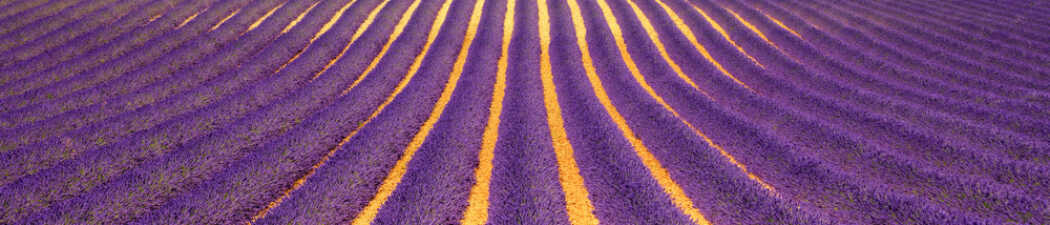 Provence