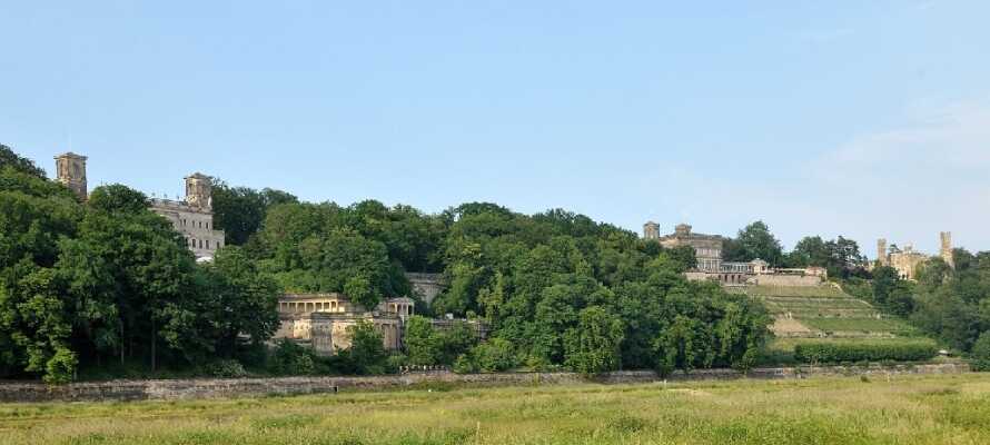 I östra Dresden, vid Elben, kan ni se de tre slotten som ligger på rad och är  värda ett besök.
