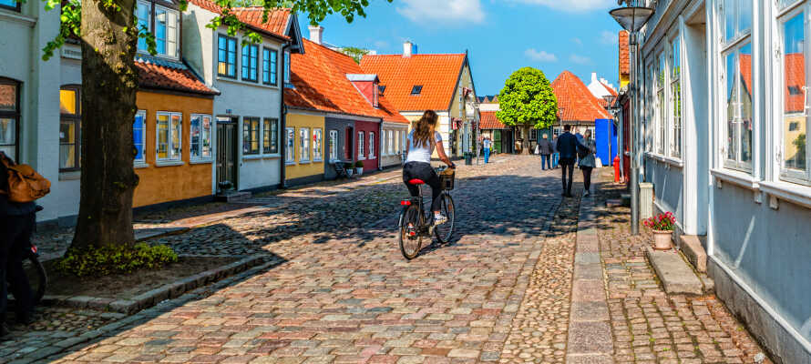 Fra hotellet har I bare en kort køretur fra det charmerende centrum i Odense, som har så meget at byde på.