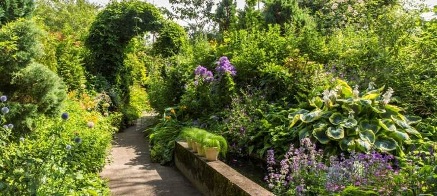 Oplev Anne Justs smukke have med et utal af smukke blomster, planter, træer og buske