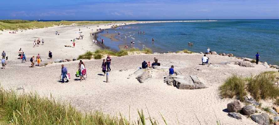 Tag på gåtur op og ned af de skønne strande ved Skagen, som indbyder til at slentre i vandkanten.
