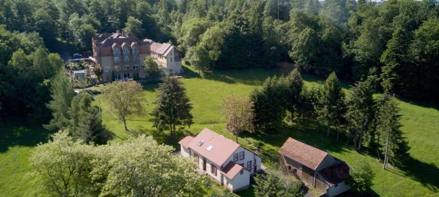 Det här familjedrivna hotellet renoverades 2020 och erbjuder en trevlig semester med genuin fransk gästvänlighet i hjärtat av Alsace