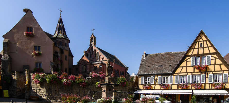 Tag på køretur til Goslar, hvor I kan gå rundt i den flotte by med de charmerende huse og gader.