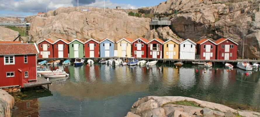 Besøg de maleriske fiskeribyer og oplev den naturlige skønhed af Sveriges smukke vestkyst.