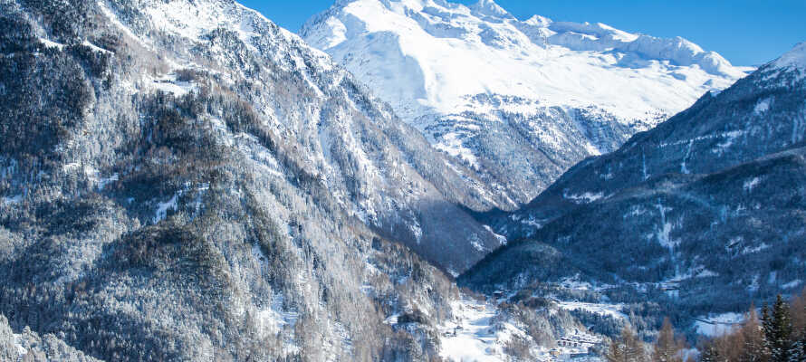 Tag på opdagelse i det smukke vinterlandskab i Ötztal-dalen