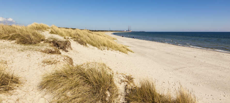 Tag på strand-crawl på Djurslands berømte strande, f.eks. Grenå Strand, Gjerrild Nordstrand og Bønnerup Strand