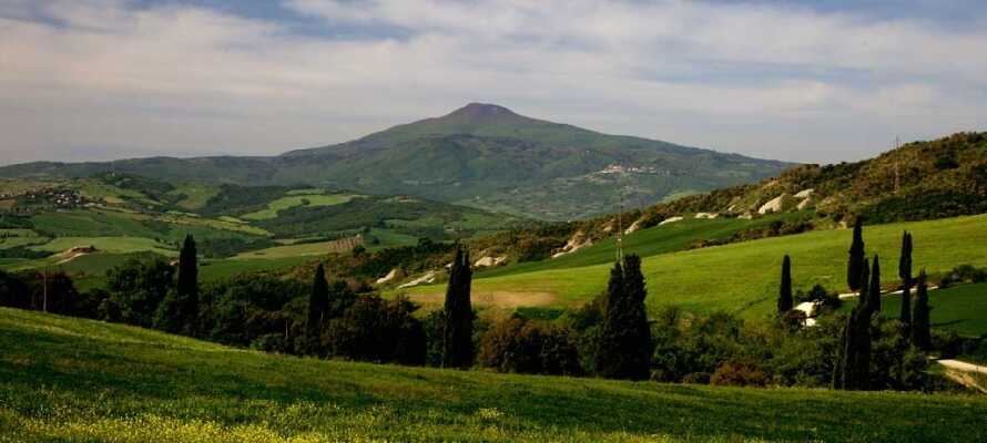 Bjerget Monte Amiata er en gammel vulkan, hvor der nu er en helt unik natur omkring.