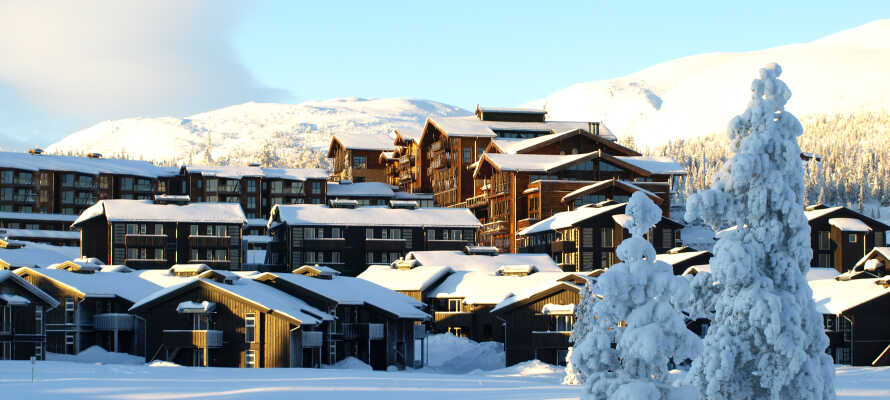 Norefjell Ski & Spa ligger midt i det vakre norske vinterlandskapet og er perfekt for en skiferie.