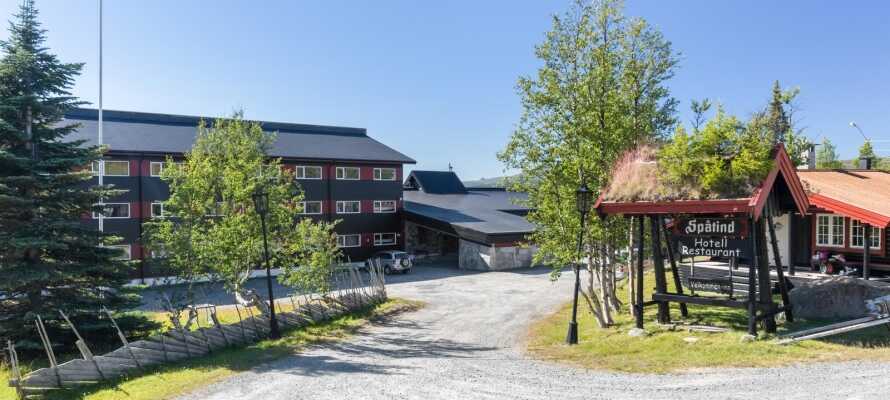 Spåtind Fjellstue har en skøn beliggenhed på Synnfjellet, og tilbyder en familievenlig base for aktiv ferie hele året rundt.