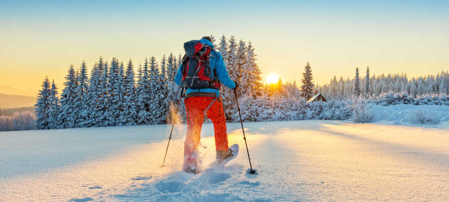 Tag på et ægte vintereventyr med snesko i Nationalpark Hohe Tauern