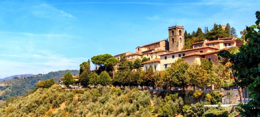 Dette hotel ligger i hjertet af Montecatini Terme, som er kendt for sine termiske kilder og moderne spa-faciliteter.