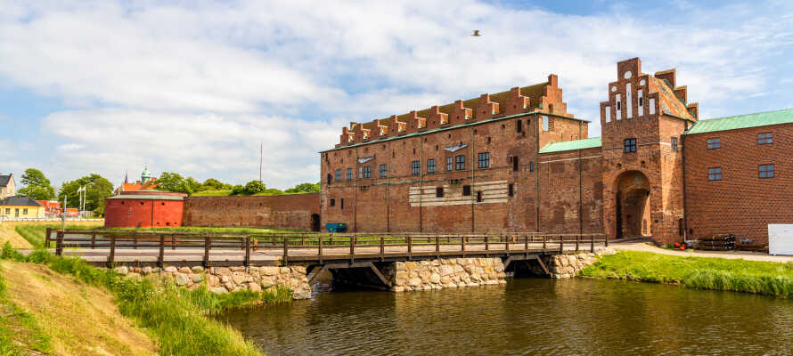 Besøg et af Nordens bedst bevarede renæssanceslotte, Malmøhus, som huser et spændende kunstmuseum.