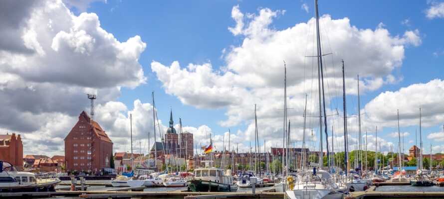 Upplev den härliga stämningen i hamnen i Stralsund, där ni kan ta er något gott att dricka.