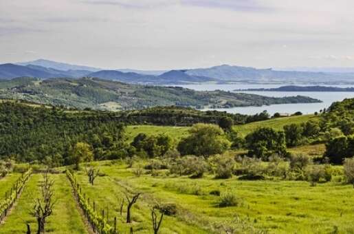 Camping Village Punta Navaccia