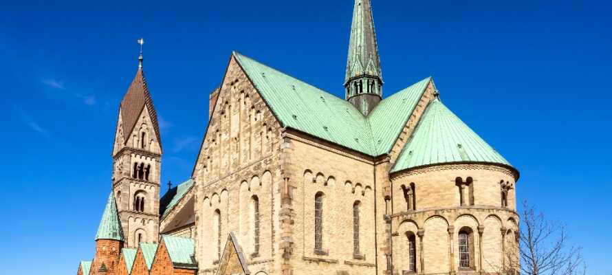 Kør en tur til Danmarks ældste by, Ribe og se bl.a. den imponerende domkirke.