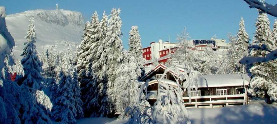 Thon Hotel Skeikampen ligger 40 km norr om Lillehammer och erbjuder en bra utgångspunkt för er vintersemester.
