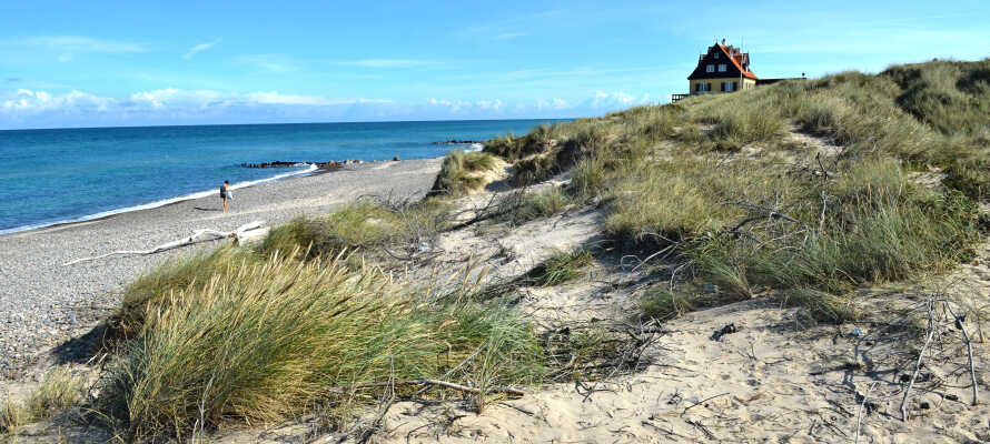 Nyd en gåtur på stranden. Få vind i håret og sol på næsen, imens I nyder den nordjyske natur.