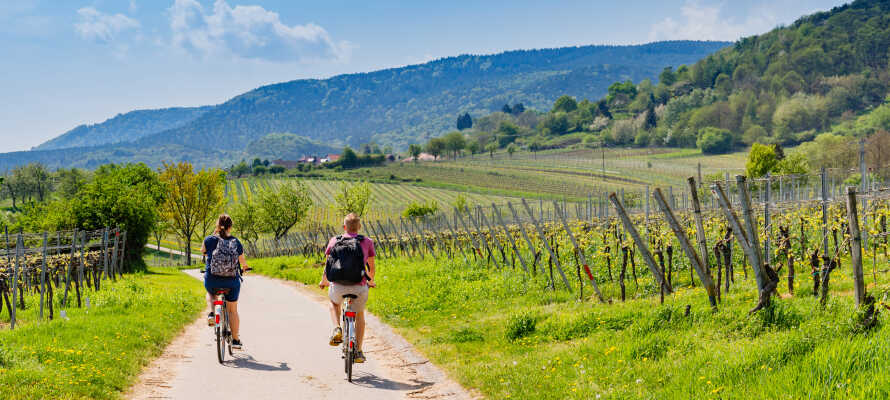 Tag på vandre- og cykelture i de fantastiske naturomgivelser, som præger Den Tyske Vinrute.