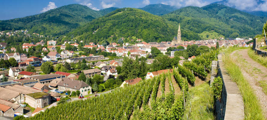 I har alletiders mulighed for at besøge Alsace i Frankrig, bare en halv times kørsel fra hotellet.