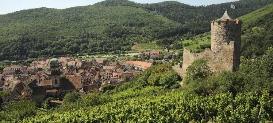 Hotellet ligger nära den populära vinrutten i Alsace, som tar er genom charmiga vinbyar och härlig natur. 