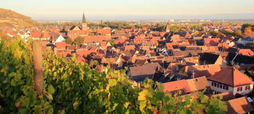 Turckheim er en lille vinby som ligger på vinruten. Gå en tur omkring byen og nyd den dejlige udsigt.