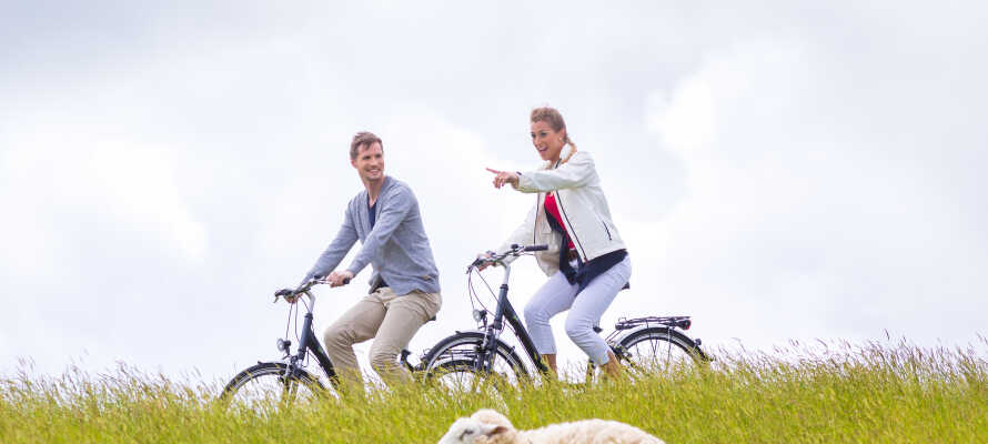 Oplev det naturskønne område på cykel (udlejning på hotellet).