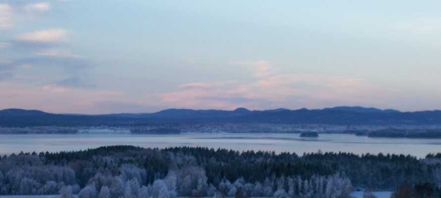 Upplev den fantastiska naturen runt sjön Siljan. Oavsett om det är vinter eller sommar är naturen lika vacker.
