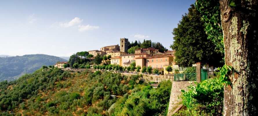 Massimo D'Azeglio ligger midt i den smukke toscanske kurby, Montecatini Terme.