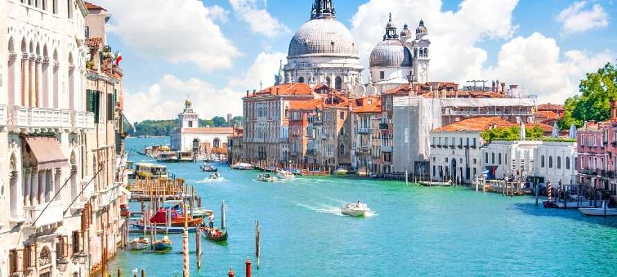 Hotellet ligger bare 45 km. fra Venedig som let kan nås med båd fra havnen i Treporti-området.