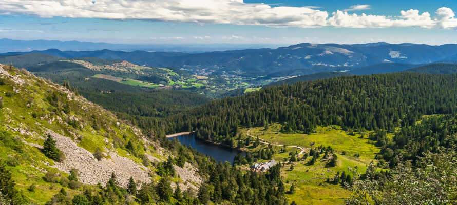 Nyd omgivelserne i Vosges naturpark, som giver jer ideelle muligheder for vandre- og cykelture.