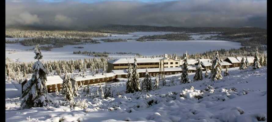 Om vinteren byder terrænet omkring Hornsjø Høyfjellshotel på gode muligheder for at stå på ski.