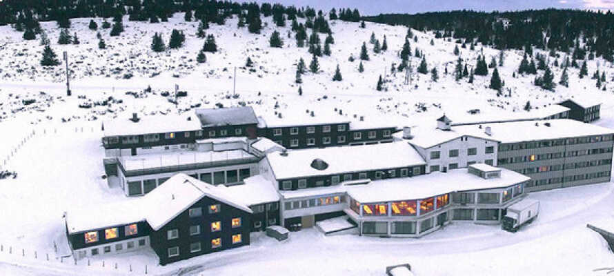 På Hornsjø Høyfjellshotel kan dere tilbringe en rimelig vinterferie med familen.