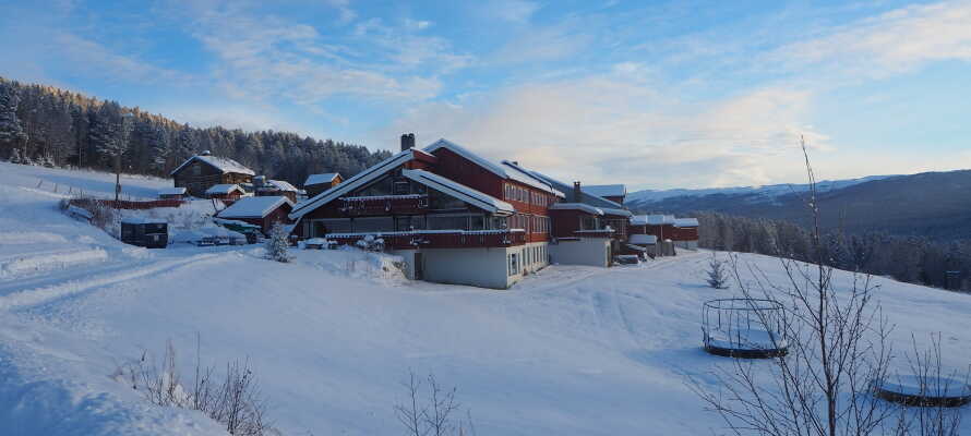 Om vinteren er der masser af muligheder for at boltre sig i sneen mens I bor på Lia Fjellhotell.
