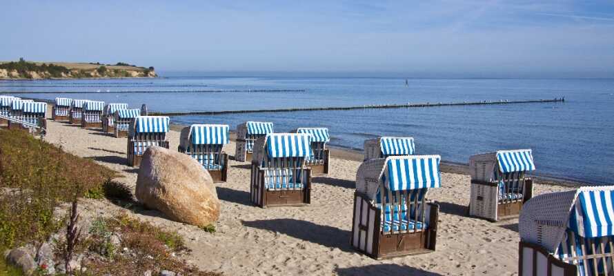 Oplev den skønne natur i området Mecklenburg-Vorpommern, hvor hotellet ligger.