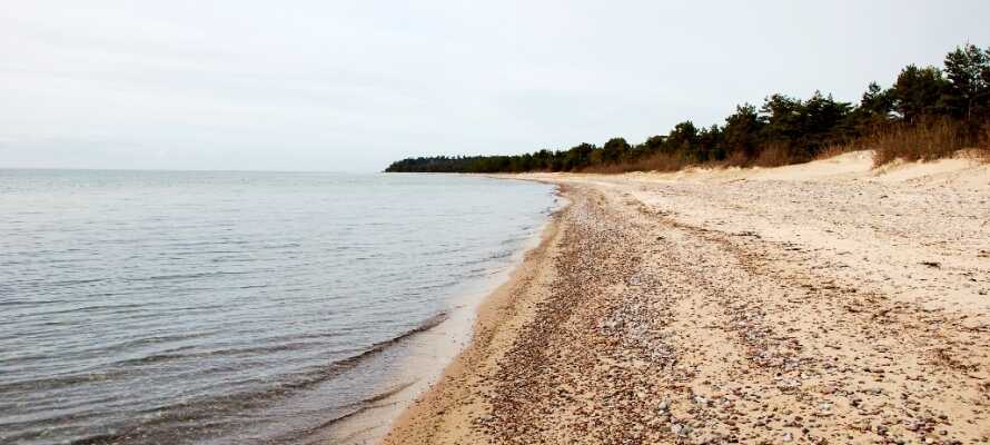 Fra hotellet er der kun 1,5 km til stranden, hvor I kan gå lange ture i den friske havluft.