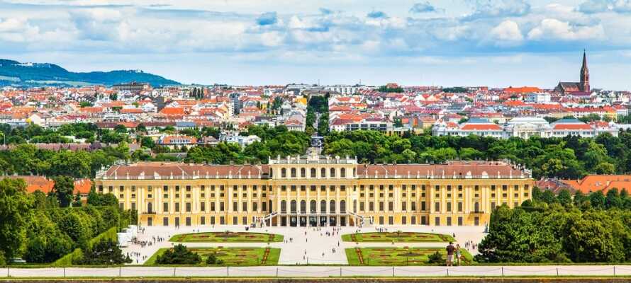 Se det storslåede barokslot Schloss Schönbrunn og haverne, som ligger i kort afstand af hotellet.
