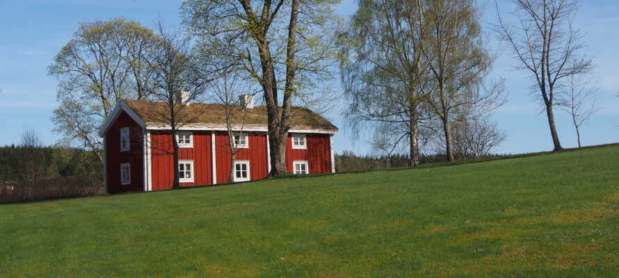 Besøg friluftsmuseet Ekomuseum Bergslagen, og lær mere om Ludvikas historie.