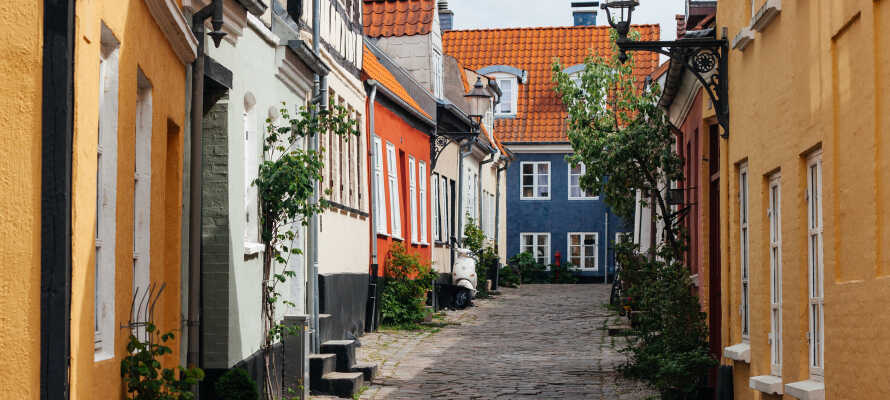 Gå en tur igennem Aalborgs hyggelige gader og slap af på en af byens caféer med en hyggelig frokost eller en dejlig kop kaffe.