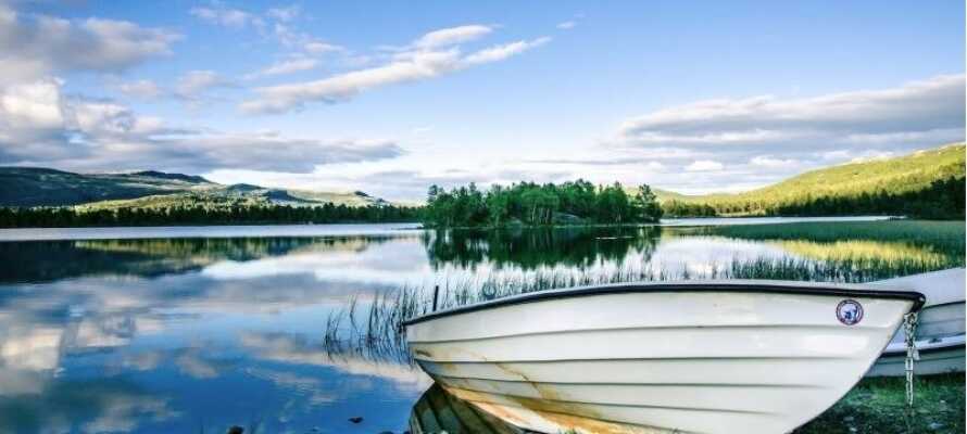 Om sommeren er det gratis at låne en robåd eller kano og tage sig en tur på søen.