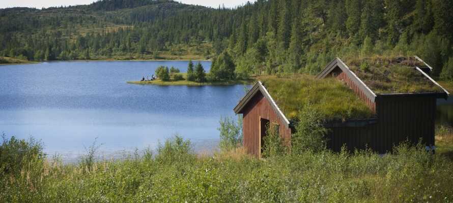 I har kort afstand til den skønne norske natur hvor landskaberne præges af skove, bakker, søer og vilde marker.