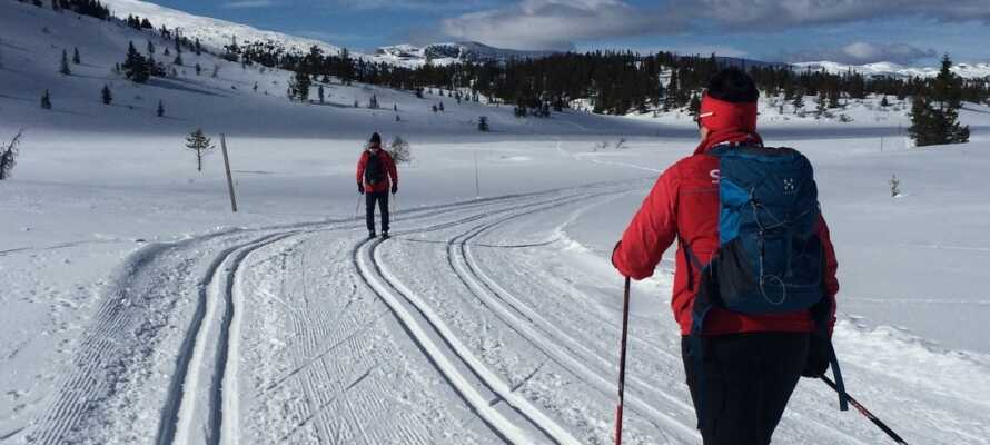 Området byder på mange vinteroplevelser for hele familien. Det er bl.a. muligt at stå på ski på de nærliggende bakker.