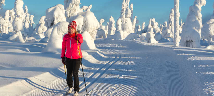 Telemarks smukke vinterlandskaber giver jer både mulighed for alpinski og langrend.