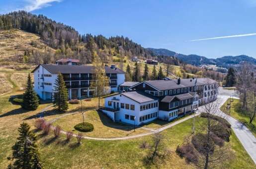 Morgedal Hotel