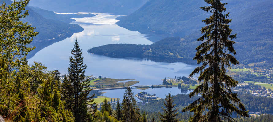 Hotellets centrale beliggenhed i Telemark gør det til et perfekt udgangspunkt for at udforske regionen.