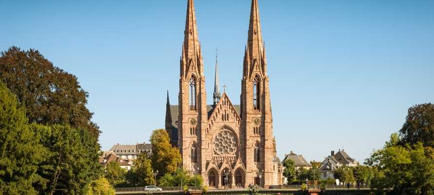 Kør en tur til Strasbourg og oplev bl.a. den imponerende katedral.