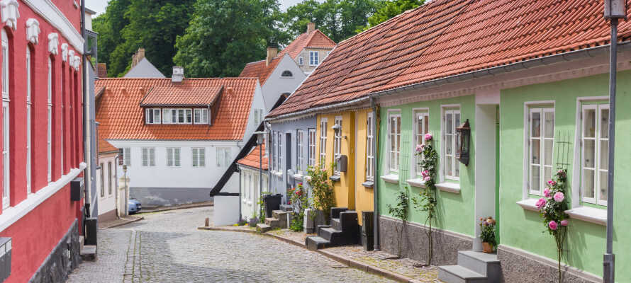 Udforsk Haderslevs hyggelige gamle bydel, med mange velholdte bygninger og charmerende butikker og caféer.
