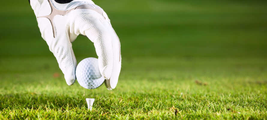 Der er også gode muligheder for at spille golf - den nærmeste golfbane ligger kun 3 km fra hotellet.