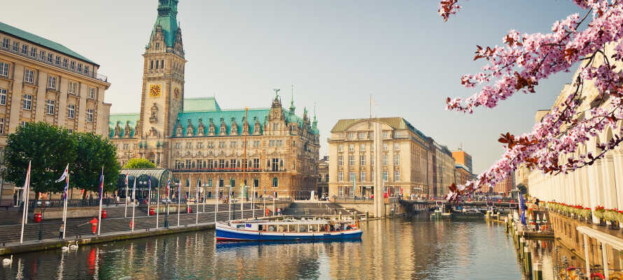 Gör en utflykt till storstaden Hamburg och utforska stadens kultur- och kafélilv liksom shopping och sightseeing