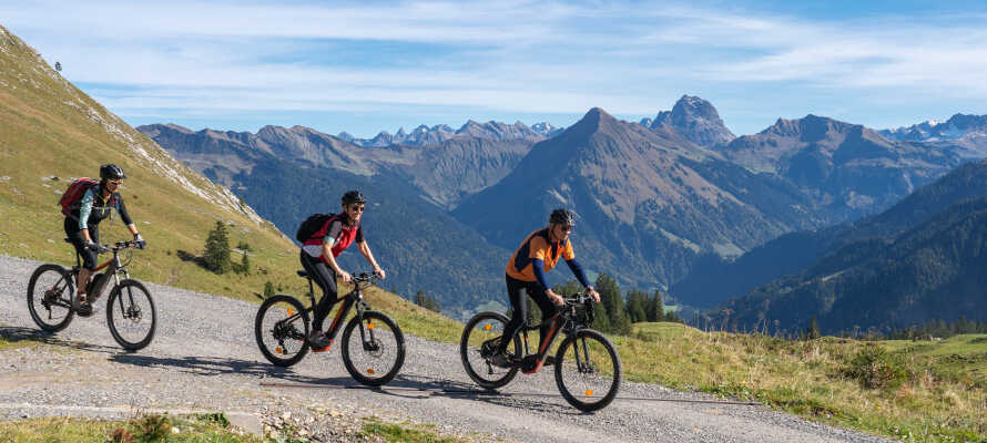 Zillertals cykelruter passer til ethvert niveau, og I har mulighed for at leje mountainbikes på hotellet.