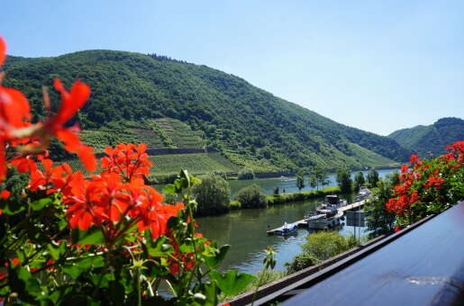 Moselhotel & Restaurant Traube